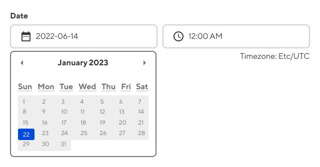 Screenshot of datetime input field with date picker open