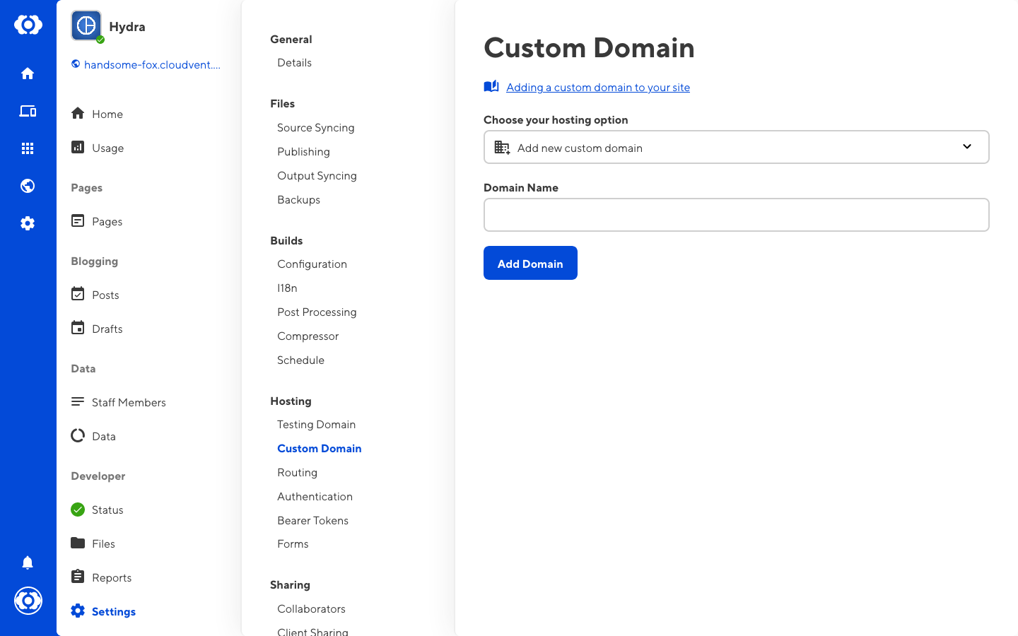 Screenshot of Domain interface with no domain set