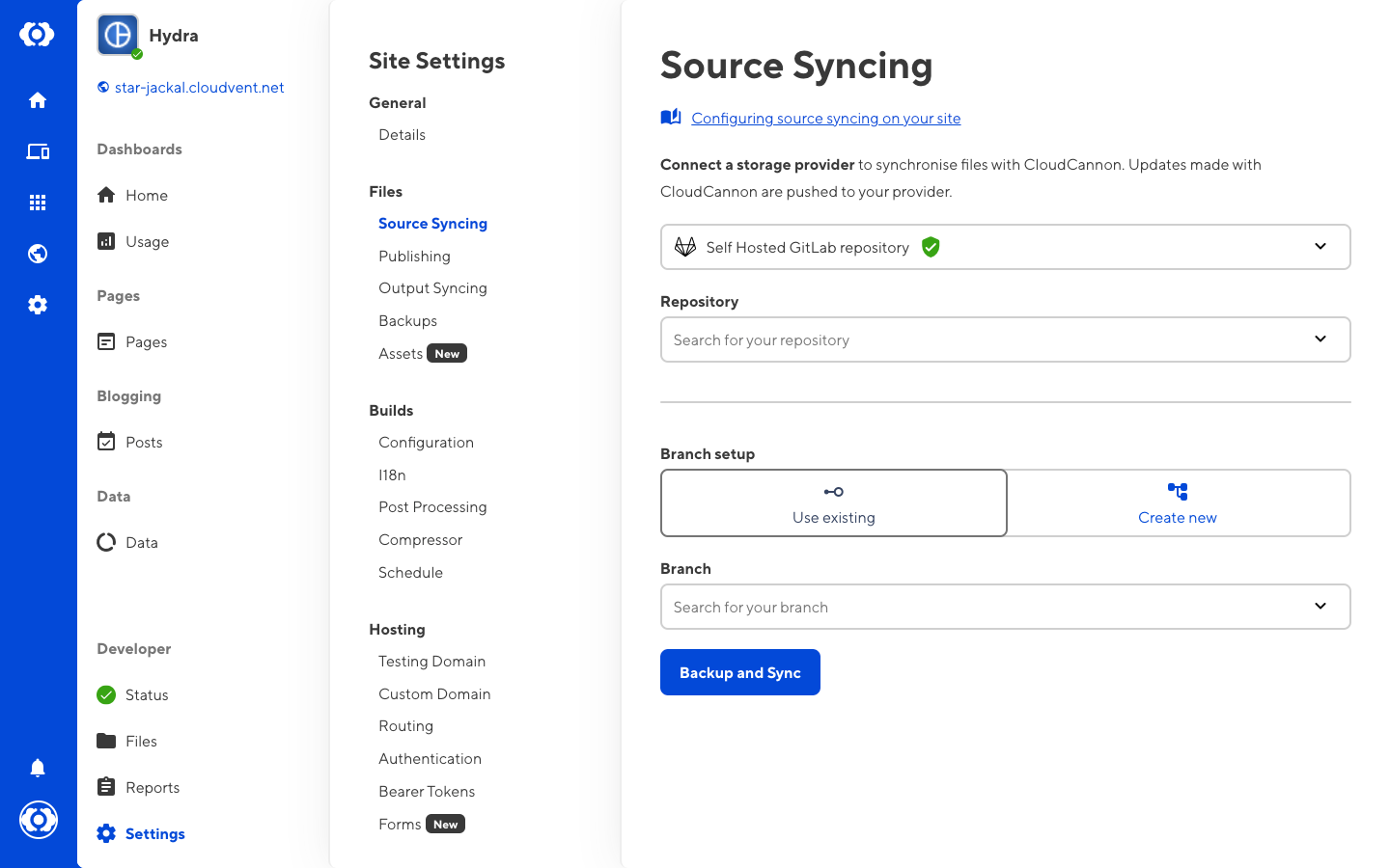 Selecting self hosted GitLab repository to sync