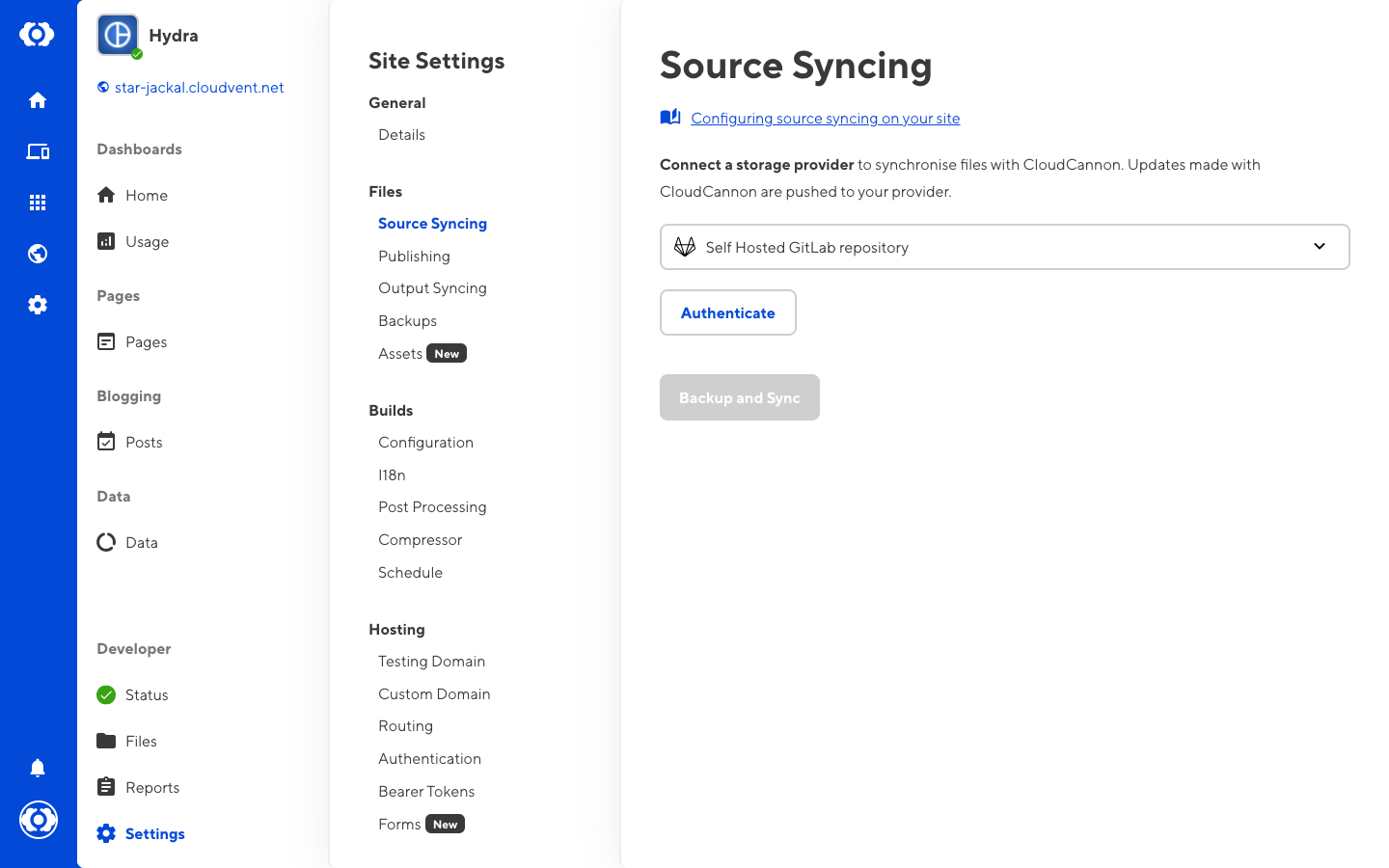 Selecting self hosted GitLab as the your provider